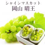 2025 ギフト 岡山県産 シャインマスカット 晴王 青秀品 2房(400g×2) 贈答用 御中元 葡萄 ぶどう ブドウ プレゼント 御礼 御祝 御供 果物 フルーツ