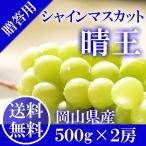 2025 ギフト 岡山県産 シャインマスカット 晴王 青秀品 2房(500g×2) 贈答用 御中元 葡萄 ぶどう ブドウ プレゼント 御礼 御祝 御供 果物 フルーツ