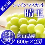 2025 ギフト 岡山県産 シャインマスカット 晴王 赤秀品 2房(600g×2 ) 贈答用 御中元 葡萄 ぶどう ブドウ プレゼント 御礼 御祝 御供 果物 フルーツ