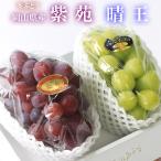 2025 подарок Okayama префектура производство автомобиль in мускат ..& фиолетовый .2.(600g×2).. для . лет . виноград виноград подарок ... праздник .. фрукты .. было использовано фрукты 