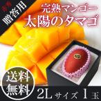2025 ギフト 太陽のタマゴ 2Lサイズ1玉 赤秀品 宮崎県産 完熟マンゴー 母の日 父の日 お中元 贈答用 プレゼント 御祝 御礼 内祝 誕生日 果物 くだもの フルーツ