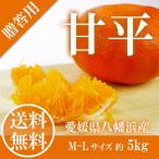 ショッピング甘平 数量限定  甘平 『 かんぺい 』 秀品 M-Lサイズ 5kg 送料無料 愛媛県八幡浜産 化粧箱入 ギフト みかん ミカン 「 岡山市場工房 」