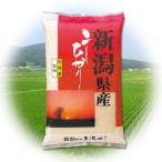 ÎáÏÂ5ǯ»º 2023ǯÅÙ»º ¿·ÊÆ ¿·³ã¸©»º ¥³¥·¥Ò¥«¥ê 5kg ¤Õ¤ë¤µ¤È̾ʪ¾¦ÉÊ °ìÅÙ¿©¤Ù¤¿¤é¥ä¥ß¥Ä¥¤Î¤ª¤¤¤·¤µ ¤´Â£Åú Âå°úÉÔ²Ä Æ±ºÉÔ²Ä