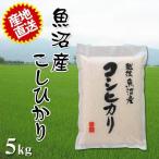 ÎáÏÂ5ǯ»º 2023ǯÅÙ»º ¿·ÊÆ µû¾Â»º ¥³¥·¥Ò¥«¥ê 5kg ¤È¤ì¤¿¤Æ¤ÎÈþÌ£¤·¤µ ¤´Â£Åú¤Ë¤âºÇŬ ÀºÊÆºÑ¤ß Âå°úÉÔ²Ä Æ±ºÉÔ²Ä