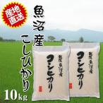 2023ǯÅÙ»º ÎáÏÂ5ǯ»º ¿·ÊÆ µû¾Â»º ¥³¥·¥Ò¥«¥ê 10kg (5kg¡ß2¸Ä) ¤È¤ì¤¿¤Æ¤ÎÈþÌ£¤·¤µ ¤´Â£Åú¤Ë¤âºÇŬ ƱºÉÔ²Ä Âå°úÉÔ²Ä