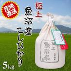 2023年度産 令和5年産 新米 極上魚沼米 5kg 一度食べたらヤミツキのおいしさ ご贈答にも最適 代引不可 同梱不可