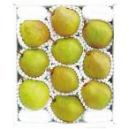 i.... Yamagata производство la* Франция примерно 3.2kg подарок по случаю конца года зима подарок зимний подарок год конец подарок благодарность. подарок беспокойство стал person . круг сосна синий .