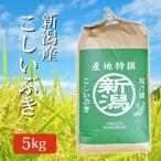 令和5年産 2023年度産 新米 玄米 米 新潟県産こしいぶき コシイブキ 米 5Kg (5キロ) 新潟産 産地特選 代引不可 同梱不可