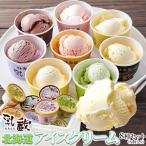 北海道アイス 8個セッ�