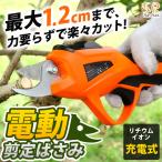 電動 剪定ばさみ 枝切ばさみ 枝切りはさみ 枝切り鋏 バサミ 切断 枝径1.2cm 充電式 コードレス 剪定鋏 枝きりはさみ 電動ハサミ 700g 軽量