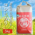 令和3年産 2020年度産 玄米 米 特別栽培米 新潟県産コシヒカリ こしひかり 5kg (5キロ) 新潟産 コシヒカリ 代引不可 同梱不可