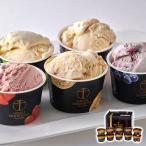 ショッピングお中元 アイス 銀座プレミアムアイス 産直グルメ 贅沢お取り寄せ ギフトに最適 食卓を彩る 大切な人への贈り物 ごちそう 銀座千疋屋