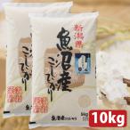 新潟県魚沼産こしひかり 10kg (5kg×2袋) 精米 米 2024年産 白米 国産