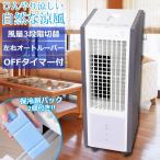 冷風扇 冷風扇風機 保冷剤 タワー型