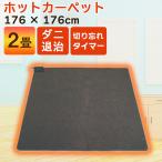 ホットカーペット 2畳 本体 電気カーペット 一人用 176×176cm TEKNOS テクノス TWA-2002B 折り畳み収納可能 フローリング