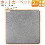 ホットカーペット 本体 床マット ラグマット ラグ 2畳 日本製 消臭機能付き 175×175cm ワタナベ工業 WHC-205-TS