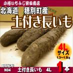  земля имеется батат 4L 1 шт. . другой блок производство N04