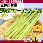  лето aspalaL~LL размер 400g×2 несессер Hokkaido производство Gree aspalaSGL-1DB