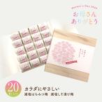 母の日ギフト 梅干し 20粒入 はちみつ梅 しそ梅 減塩 塩分3% お取り寄せグルメ 紀州南高梅 梅干 うめぼし 贈答 個包装 2025年