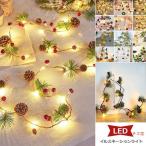 クリスマス飾り LEDイルミネーションライト 電池式 屋外 室内 ガーデンライト 結婚式 記念式 誕生日 正月 飾り 北欧風 ins 豪華