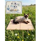  вода . способ. магия ..... днем . терраса Japan made домашнее животное охлаждающий влажный плитка неглазурованный фарфор . plate 30x40cm летний bed собака заяц кошка 