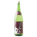 日本酒吟醸酒亀の井酒造くどき上手赤...