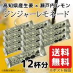 ジンジャー レモネード 12個セット 生姜 レモネード 送料無料