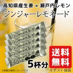 ジンジャー レモネード 5個セット 生姜 レモネード 送料無料