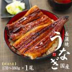 ウナギ うなぎ 国産 長蒲焼き160g〜170g×1尾 訳あり 《eel-ue1》〈ue1〉[[ウナギ長蒲焼き-1p]