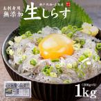 生シラス しらす お刺身生しらす1kg