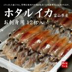 生ほたるいか12杯 お刺身用 富山県産 yd5[[ホタルイカ]