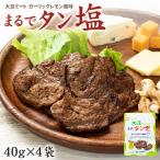 まるでタン塩 40g×4袋 ソイフィレ 大豆ミート ポスト投函 送料無料 常温 同梱不可 ギフト不可 [[まるでタン塩-4p]