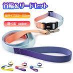 犬 首輪 リード セット グラデーシ