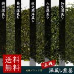 深蒸し茶 5つの産地から2袋選べる飲み比べセット 各100gずつ (100g×2) 掛川産 菊川産 牧之原産 八女産 知覧産 日本茶 茶葉 緑茶 産地ブランド お茶