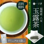 日本茶 緑茶 ティーバッグ 八女 玉
