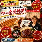 マツコの知らない世界で紹介 地下街メシで話題の人気店　【マツコの知らない世界で紹介された地下街メシ】神戸味噌だれ餃子50個 ＆ 餃子屋さんのハンバーグ2個セット 肉汁 神戸グルメ お取り寄せ 冷凍餃子