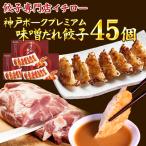 ショッピングギョーザ グランプリ受賞 プレミアム 餃子 45個 味噌だれ付 神戸ポークプレミアム 神戸餃子 餃子お取り寄せ 取り寄せ ギョウザ ギョーザ イチロー餃子 味噌だれ餃子