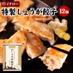 しょうが餃子 12個 味噌だれ付 餃子 生姜 取り寄せ お取り寄せ イチロー餃子 味噌だれ餃子 ギョウザ ギョーザ 神戸餃子 ギフト