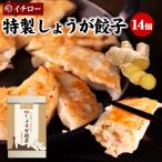 ショッピング訳あり 在庫処分 食品 コロナ しょうが餃子 14個 味噌だれ付 餃子 生姜 取り寄せ お取り寄せ イチロー餃子 味噌だれ餃子 ギョウザ ギョーザ 神戸餃子 ギフト