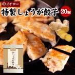 しょうが餃子 20個 味噌だれ付 餃子 生姜 取り寄せ お取り寄せ イチロー餃子 味噌だれ餃子 ギョウザ ギョーザ 神戸餃子 ギフト