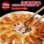 海老餃子50個 60％以上えび（具）海老 エビ えび 一龍堂 餃子 ぎょうざ ギョウザ ギョーザ 50個 えび餃子 海老餃子 冷凍 生餃子 冷凍食品 冷凍餃子