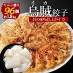 新発売  60％以上がイカ（具）いか イカ  一龍堂 餃子 ぎょうざ ギョウザ ギョーザ 96個 いか餃子 イカ餃子 冷凍 生餃子 冷凍食品 冷凍餃子 送料無料