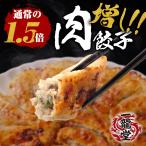 ショッピングギョーザ 一龍堂   新発売  肉増し餃子100個   餃子 肉餃子 ぎょうざ ギョウザ ギョーザ 冷凍餃子  1.8キロ！ 約16人前 大人気  冷凍食品 食品 惣菜