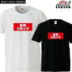 おもしろtシャツ BOXロゴシリーズ 自称Dカップ 男女兼用 ネタT プレゼント 宴会衣装