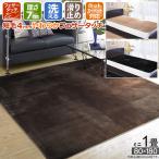 ラグ カーペット ホットカーペットカバー マット 一畳 1畳 80×180cm 29hcc 滑り止め 洗える ベッドシーツ キッチン 本州・四国は送料無料 1畳
