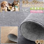 カーペット ラグ 国産 8畳 382×382cm 本間 京間 抗菌 防臭 オールシーズン 無地 ホットカーペット対応 ペット対応 爪 猫 犬 八畳 / カットパイル /