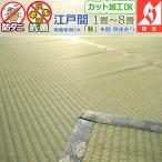 い草 カーペット ござ 6畳 261×352cm 江戸間 上敷き オーダー 防炎 6サイズ規格 夏用 夏 六畳 アイコン 本州四国は送料無料 / 萩 /