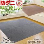 カーペット ラグ 国産 2畳 176×176cm オールシーズン 防ダニ 抗菌 ラグマット ホットカーペット対応 無地 クリーン 二畳 本州四国は送料無料 / ループ /