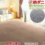 カーペット ラグ 国産 6畳 261×352cm オールシーズン 防ダニ 抗菌 ラグマット ホットカーペット対応 無地 クリーン 六畳 本州四国は送料無料 / ループ /