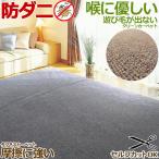 カーペット ラグ 国産 8畳 352×352cm オールシーズン 防ダニ 抗菌 ラグマット ホットカーペット対応 無地 クリーン 八畳 本州四国は送料無料 / ループ /